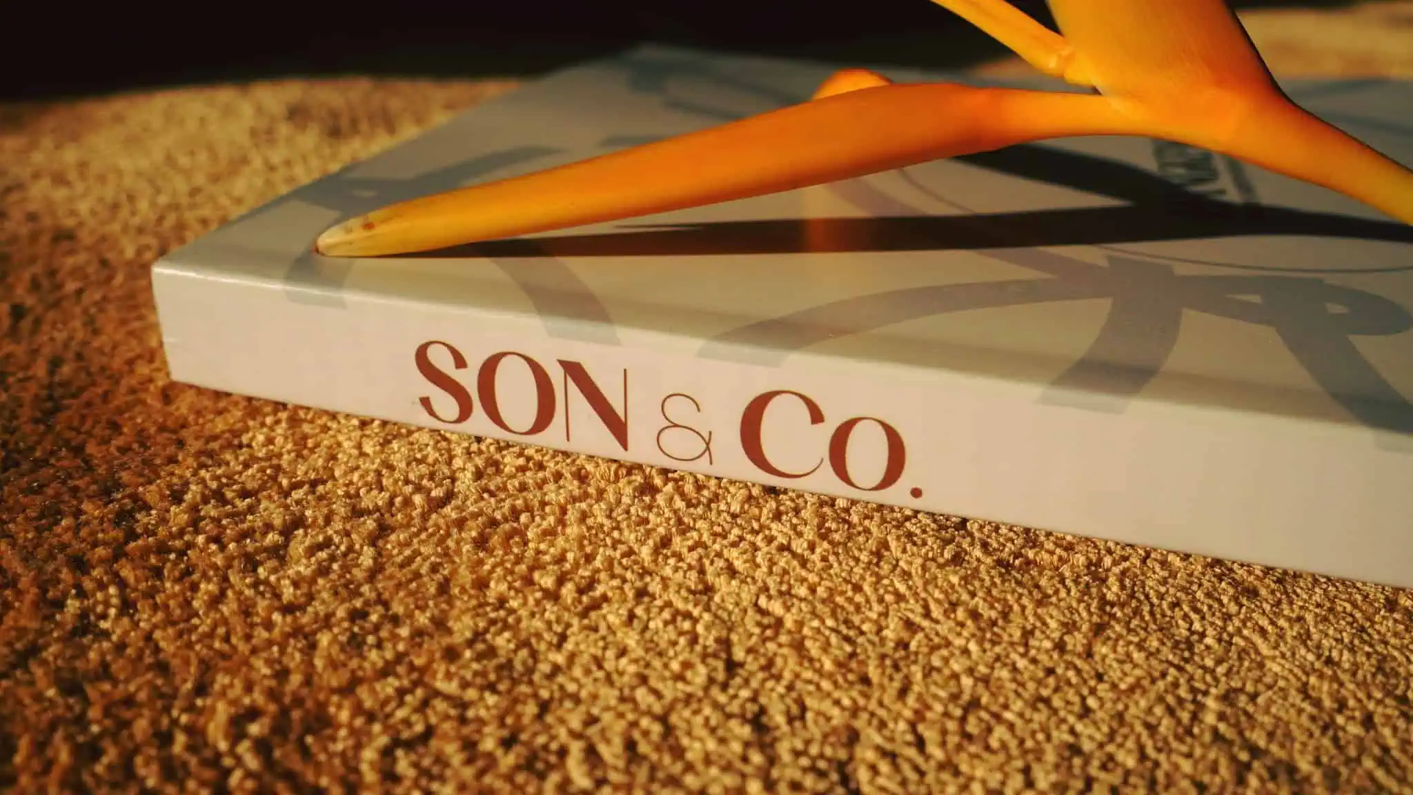 luxury carpets and rugs brand in viet nam 1