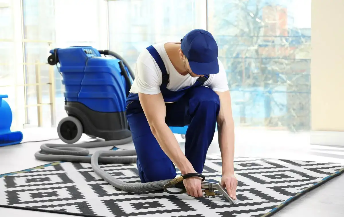 the a z of carpet cleaning domestic professional guide 685734